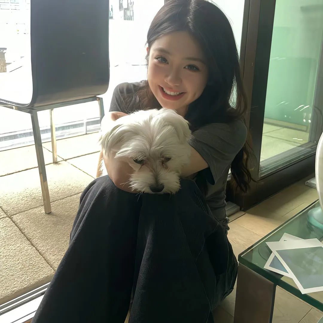妙探双龙