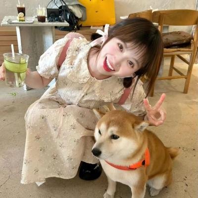 马柔本宅秘事